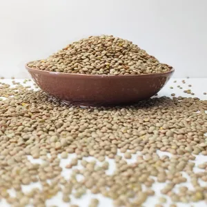 عدس ریز روسی با دانه‌های کوچک مناسب پخت عدسی و آش